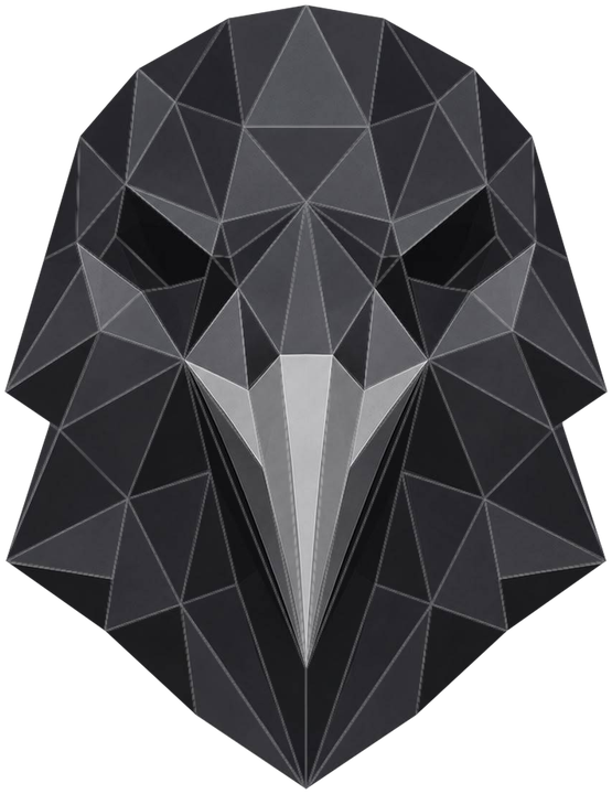 RavenNET-ravnen